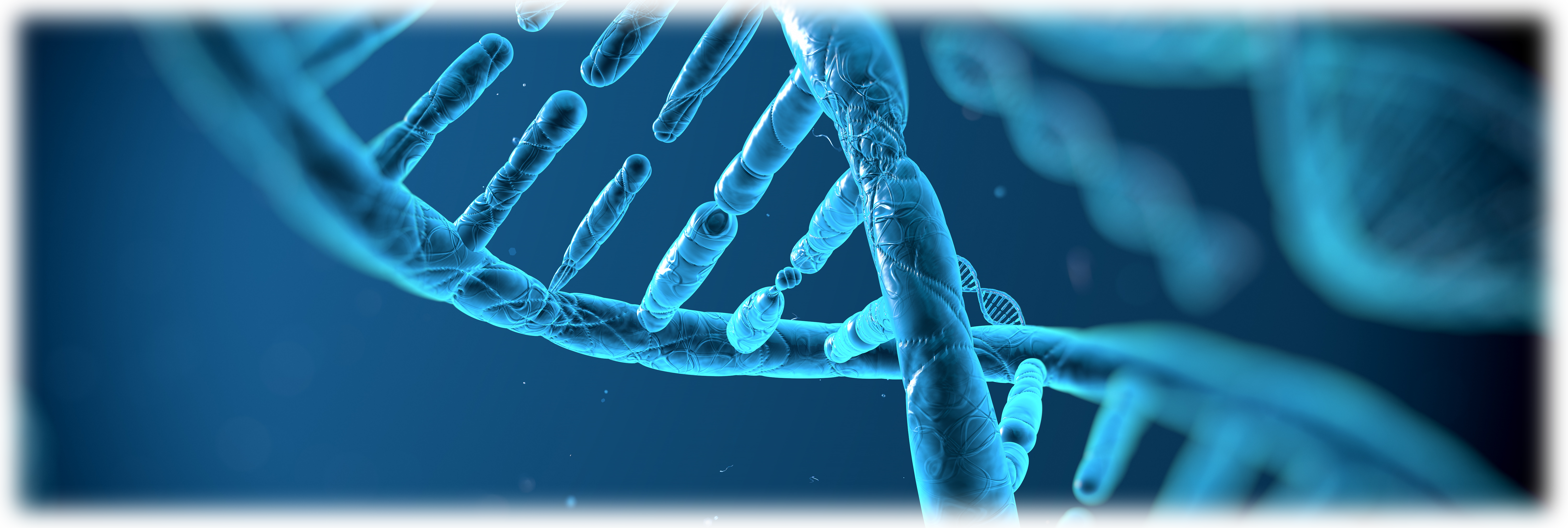 picture of a DNA molecule