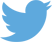 Twitter logo blue